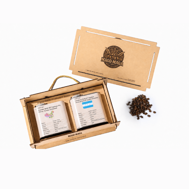 MAGO MAGA Multi-Origin Green Coffee Beans Gift Box - Mago Maga Coffee Bean Roaster