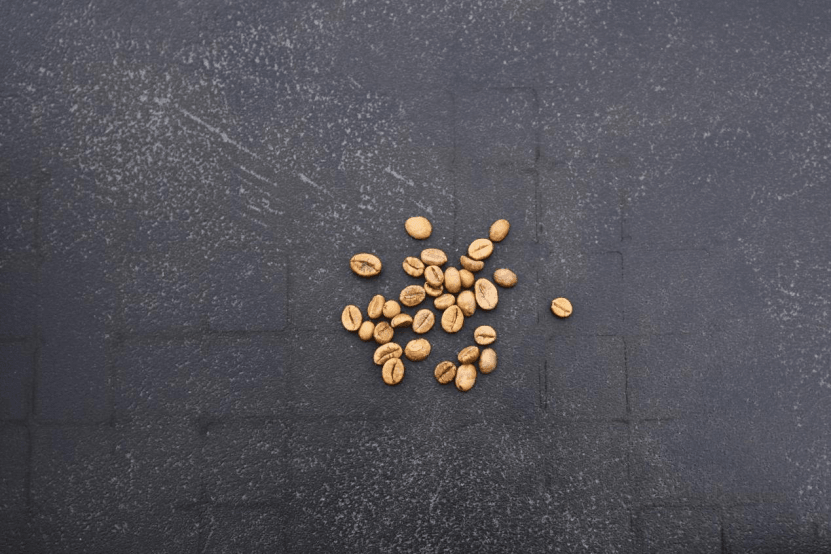 Arabica vs. Robusta Coffee: More Than Price - Mago Maga Coffee Bean Roaster