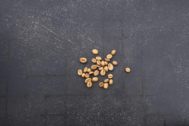 Arabica vs. Robusta Coffee: More Than Price