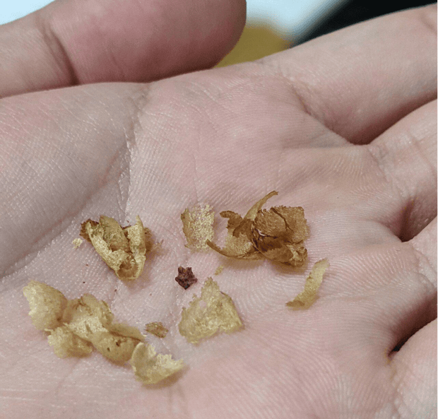 What Are Those Little Flakes Coming Off the Coffee Beans?