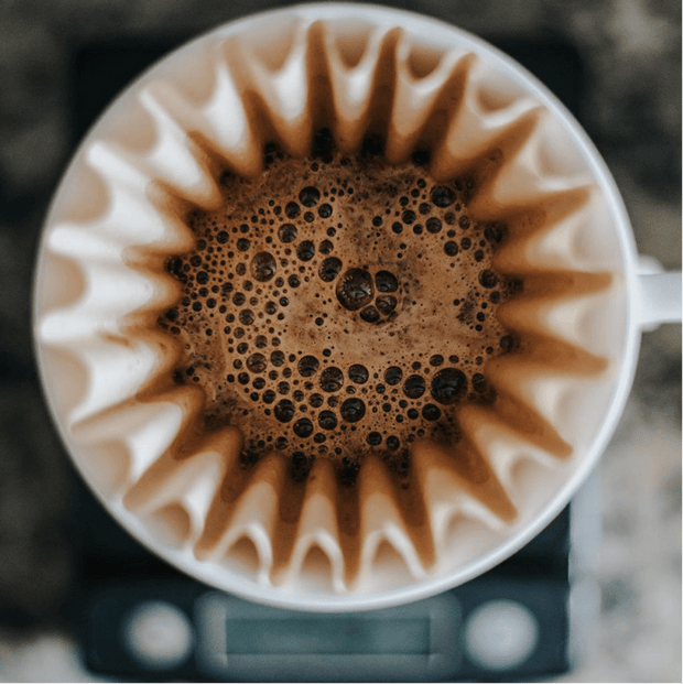 Why Should Freshly Roasted Coffee Rest Before Brewing?