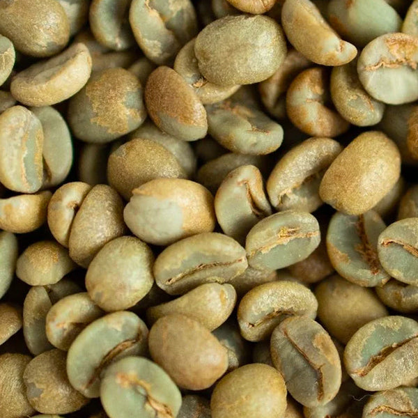 Add green coffee beans