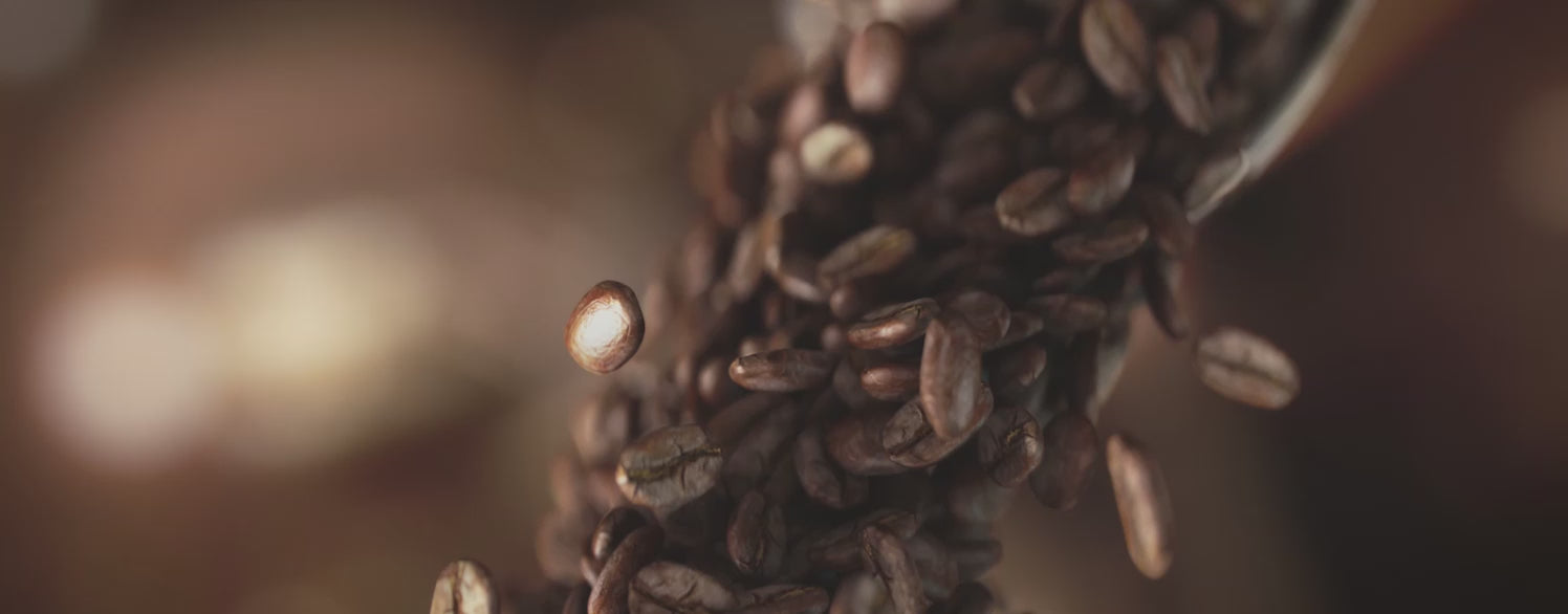 Roma Pro V1.5 :  Smart home coffee bean roaster | Summer Sale — Save $40 on Roma Pro. Now only $440.